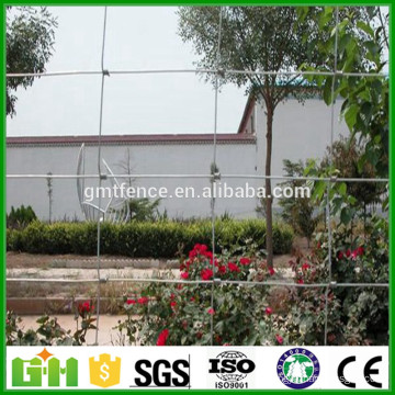 Cheap Price Galvanized Cattle Fence (vente chaude) / Grassland Fence